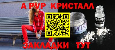 spice Кингисепп