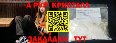 spice Кингисепп