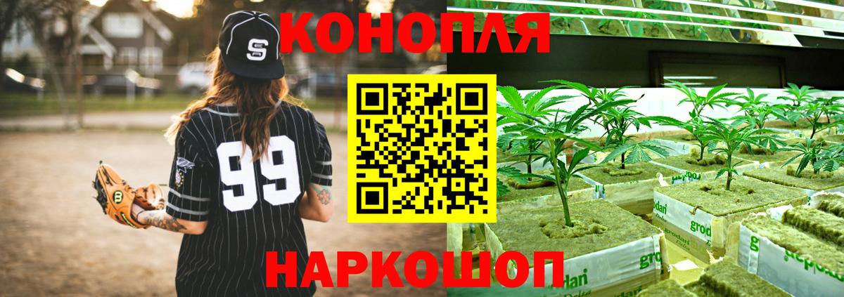 Бошки марихуана сатива Южноуральск